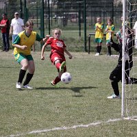 IMG 0455